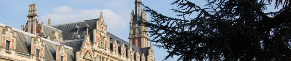 Intégration de l’ISTI à l’Université (Libre) de Bruxelles: un processus de fusion antidémocratique vers la création de deux nouvelles facultés